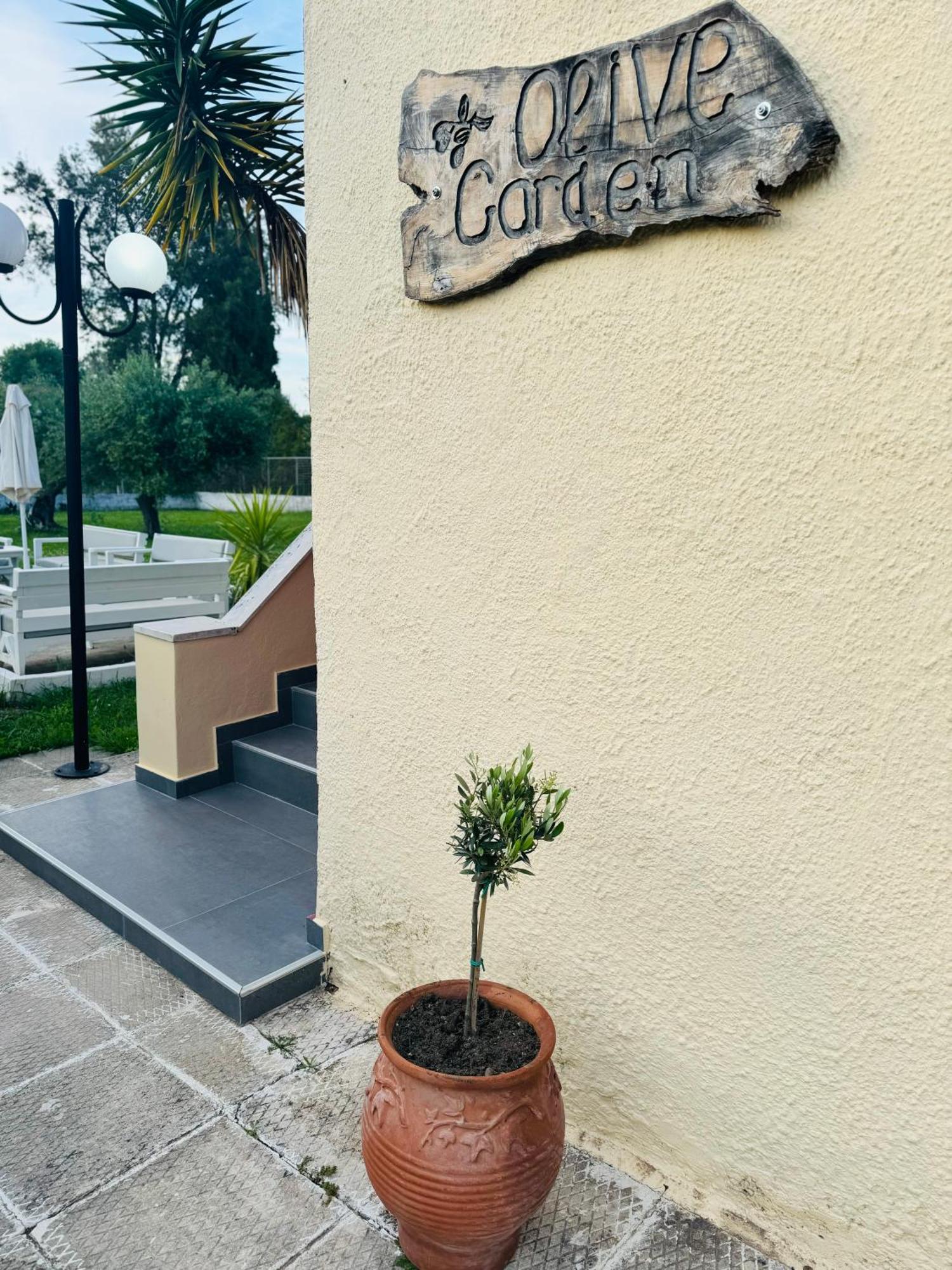 Olive Garden Studios & Apartments Acharavi  Exterior photo